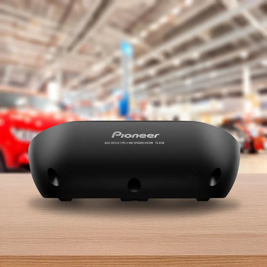 Pioneer TS-X210 5.25