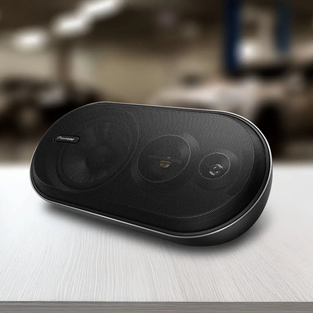 Pioneer TS-X210 5.25