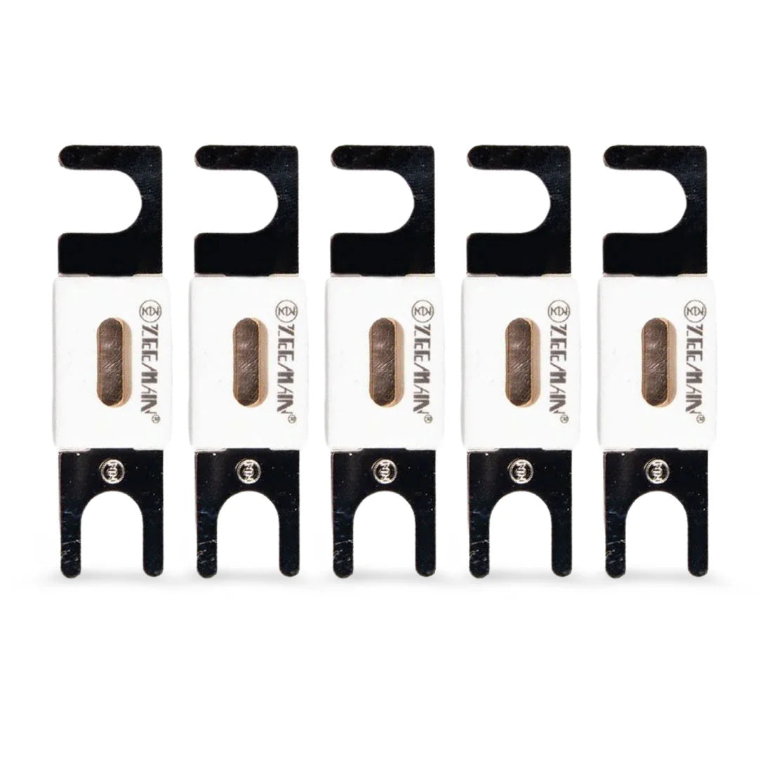 Victron Energy CIP143300020 | 300A/80V ANL-Fuse  | Package of 5 pcs