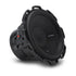 Rockford Fosgate P2D2-10 Punch 10" P2 2-Ohm DVC Subwoofer
