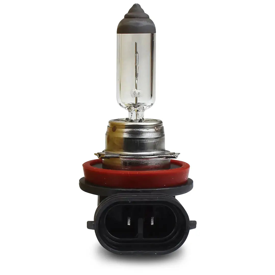 PHILIPS 12366 | 12V 19W H16 Globe | Standard - 1 Pce