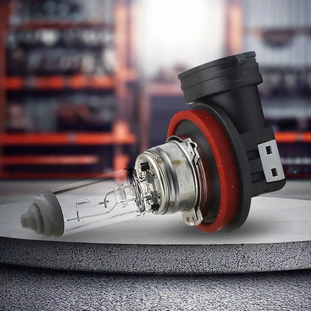 PHILIPS 12366 | 12V 19W H16 Globe | Standard - 1 Pce
