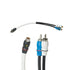 Stinger SMRCAYM PowerSports Male Y Splitter RCA Lead