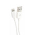 Aerpro APL105 1M Lightning to Type C USB Cable
