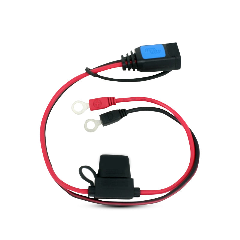 Victron Energy BPC900100014 Blue Smart Charger M6 Eyelet Connector with 30A ATO Fuse
