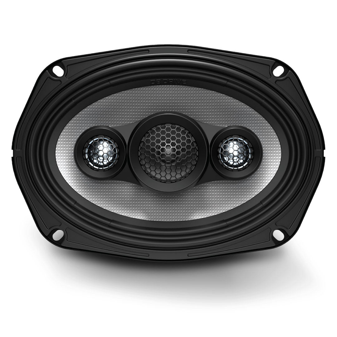 DB Drive EPSW10 | Powered 10" Subwoofer