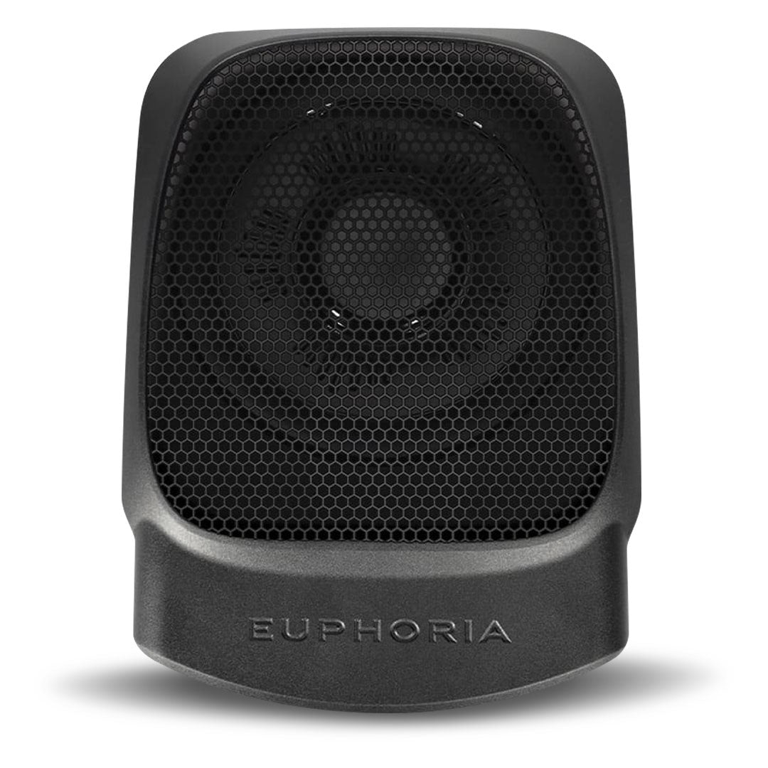 DB Drive EPSW10 | Powered 10" Subwoofer