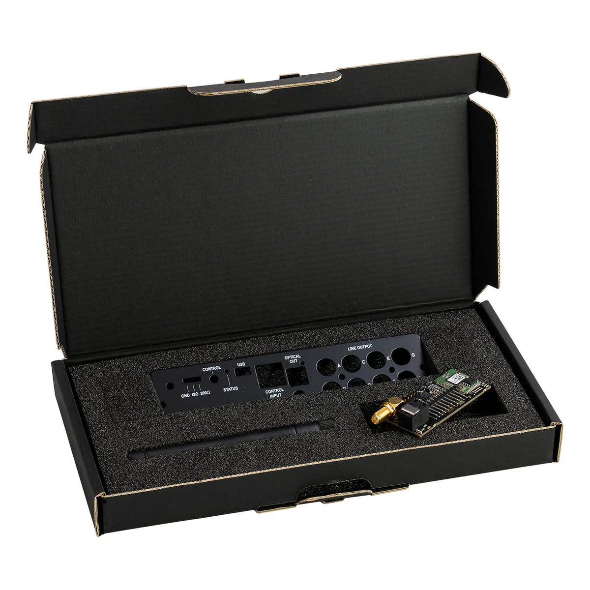 HELIX HEC BT HD V Twelve DSP | High Definition Bluetooth Audio Streaming Module
