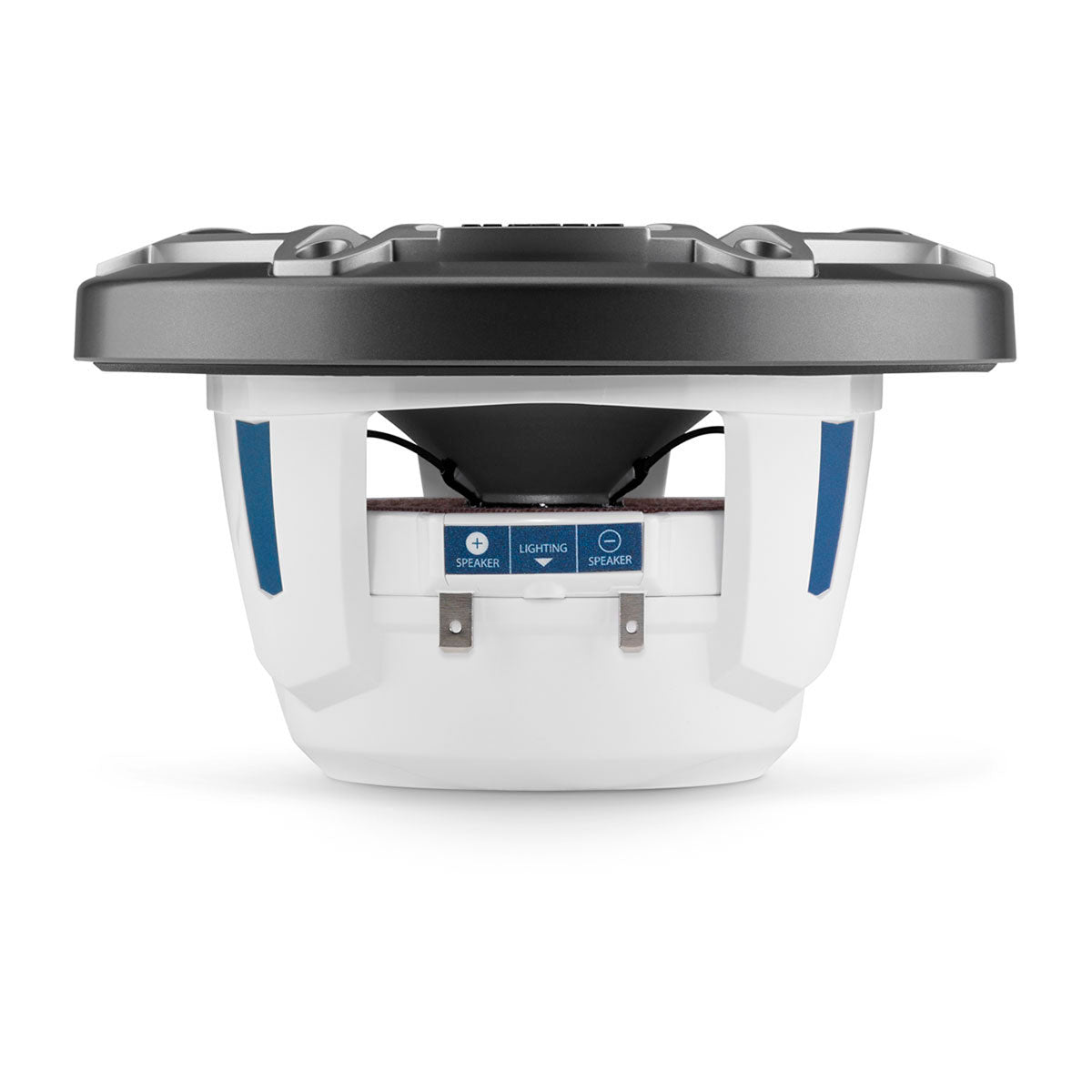 JL Audio JLA-010-03091-00 M6 6.5