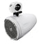 Rockford Fosgate PM282W Punch Marine 8" Wakeboard Tower Speaker