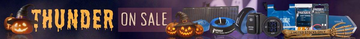 Sale Banner