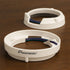 Pioneer UD-ME650LED 6.5" RGB LED Lights (Pair)