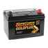 SuperCharge Gold Plus MF58R Battery USA 12V 540CCA