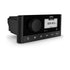 Fusion MS-RA60K1SPG Stereo Kit Includes MS-RA60 with EL Non-Illuminated Speakers
