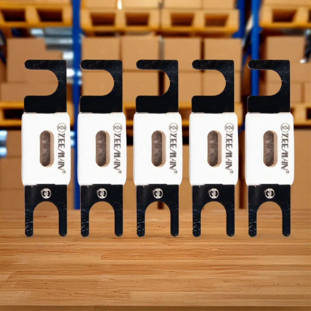 Victron Energy CIP143300020 | 300A/80V ANL-Fuse  | Package of 5 pcs