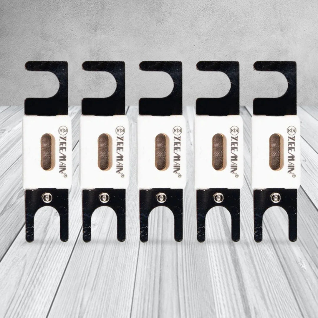 Victron Energy CIP143300020 | 300A/80V ANL-Fuse  | Package of 5 pcs