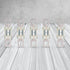 Victron Energy CIP138100020 | 100A/80V MEGA-Fuse  | Package of 5 pcs