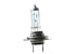 OEX GLX16073TP H7 Globe 12V 55W PX26D To Suits Alfa Romeo, Audi and Toyota