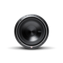 Rockford Fosgate P3D4-10 Punch 10" P3 4-Ohm DVC Subwoofer