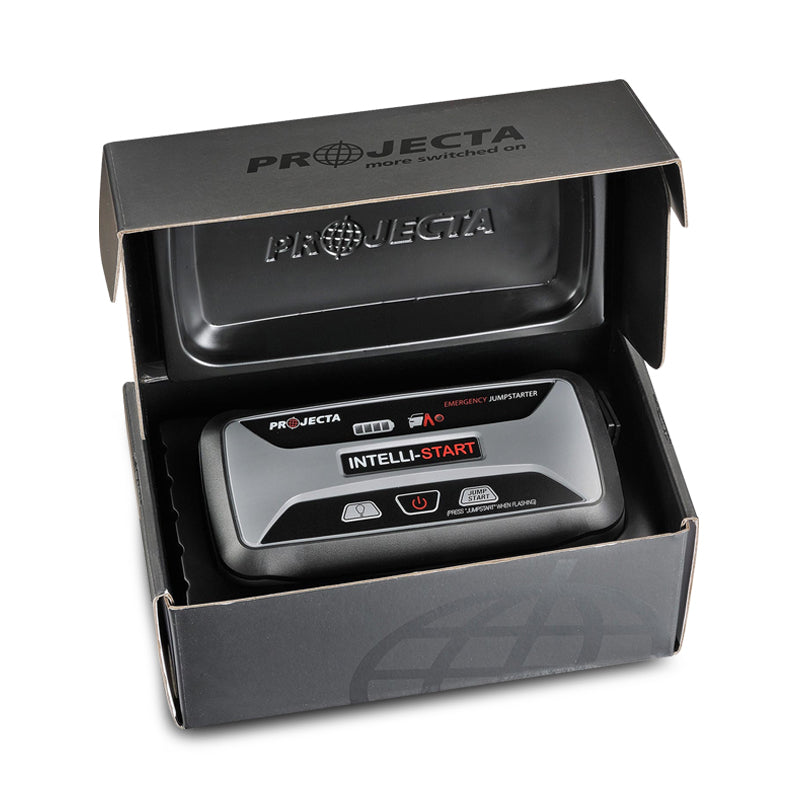 Projecta IS920 inside the box view 