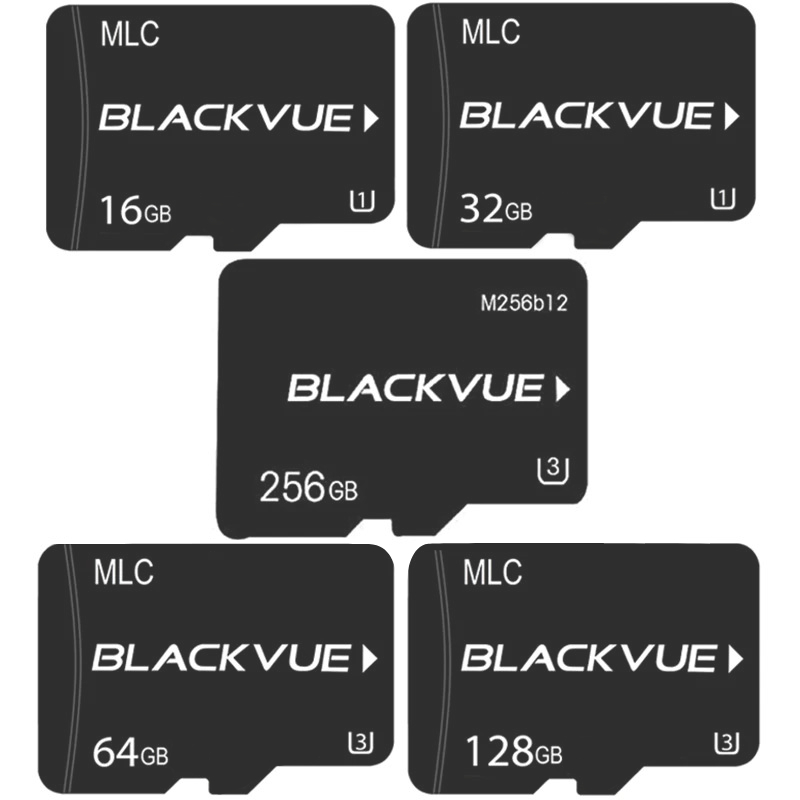 blackvue-sd-all-4-800x-30369.jpg